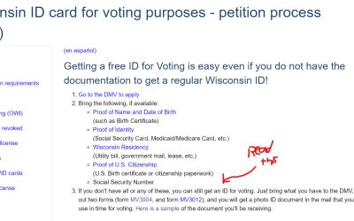 The Complex Issue of Voter ID Laws and Immigrant Voting: An Analytical Perspective